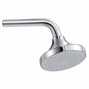 DUCHA DE BRAZO DAYL